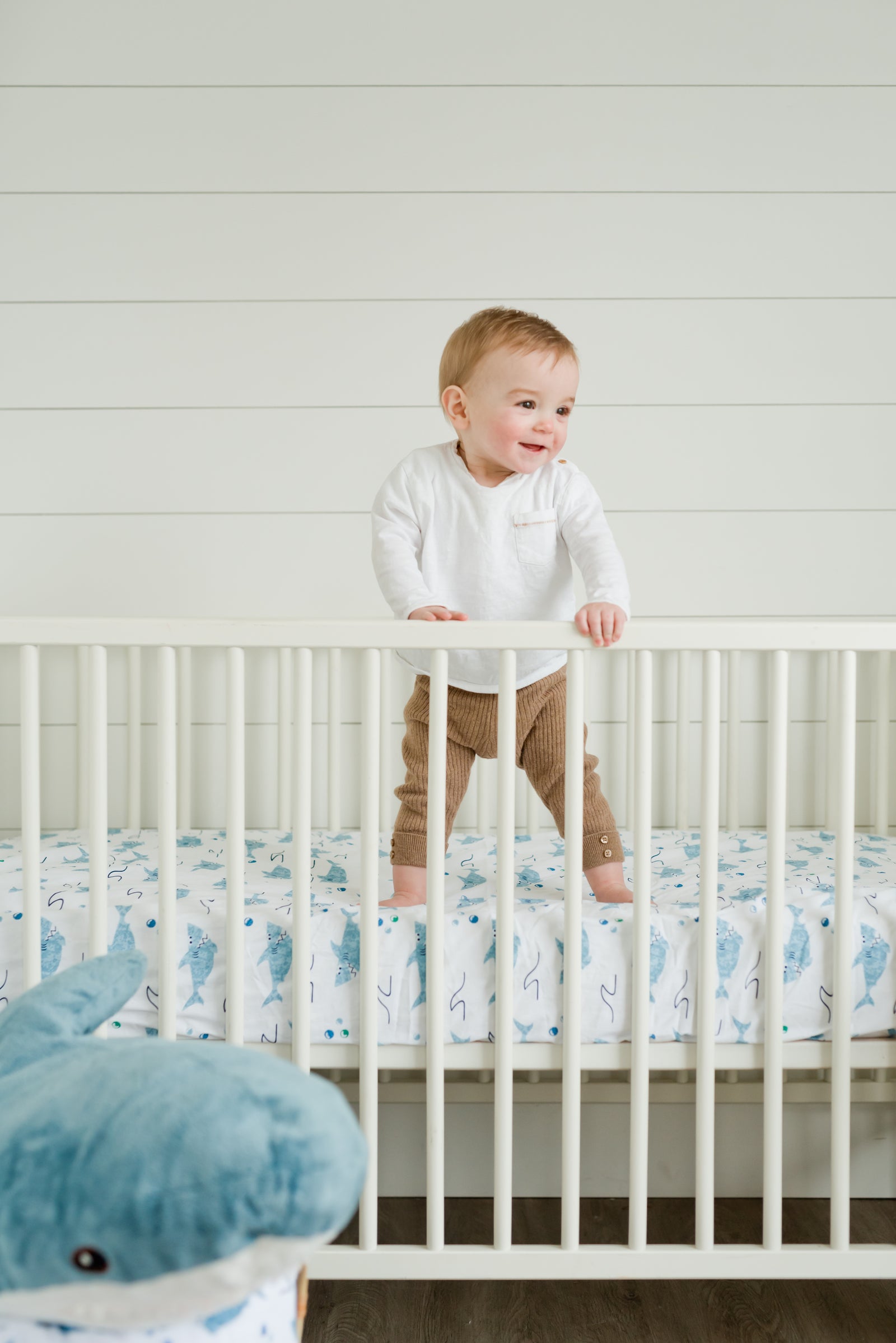 100 Cotton Fitted Crib Sheet Sharks ADDISON BELLE
