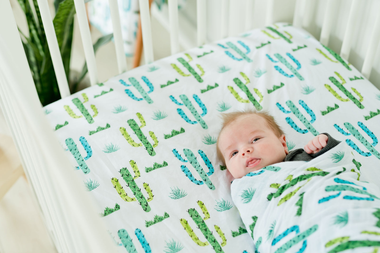 100 Cotton Fitted Crib Sheet Cactus ADDISON BELLE